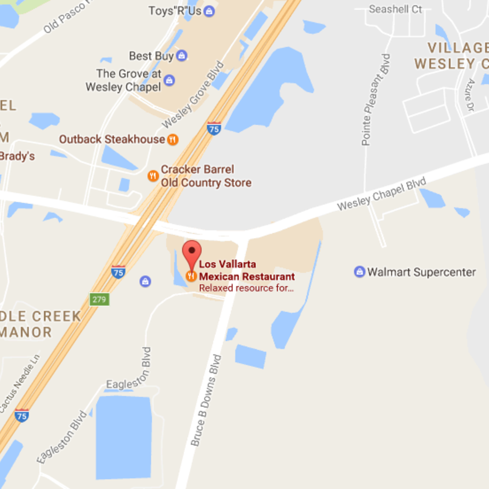 5335 village market  wesley chapel  fl 3354420170116 8942 lmmxn 960x960