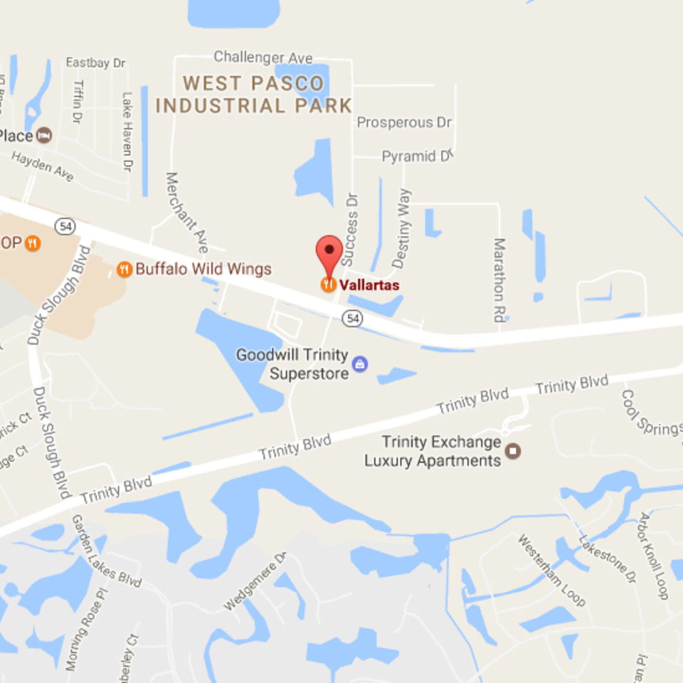 11345 fl 54  odessa  fl 3355620170116 8942 qvbjyl 960x960